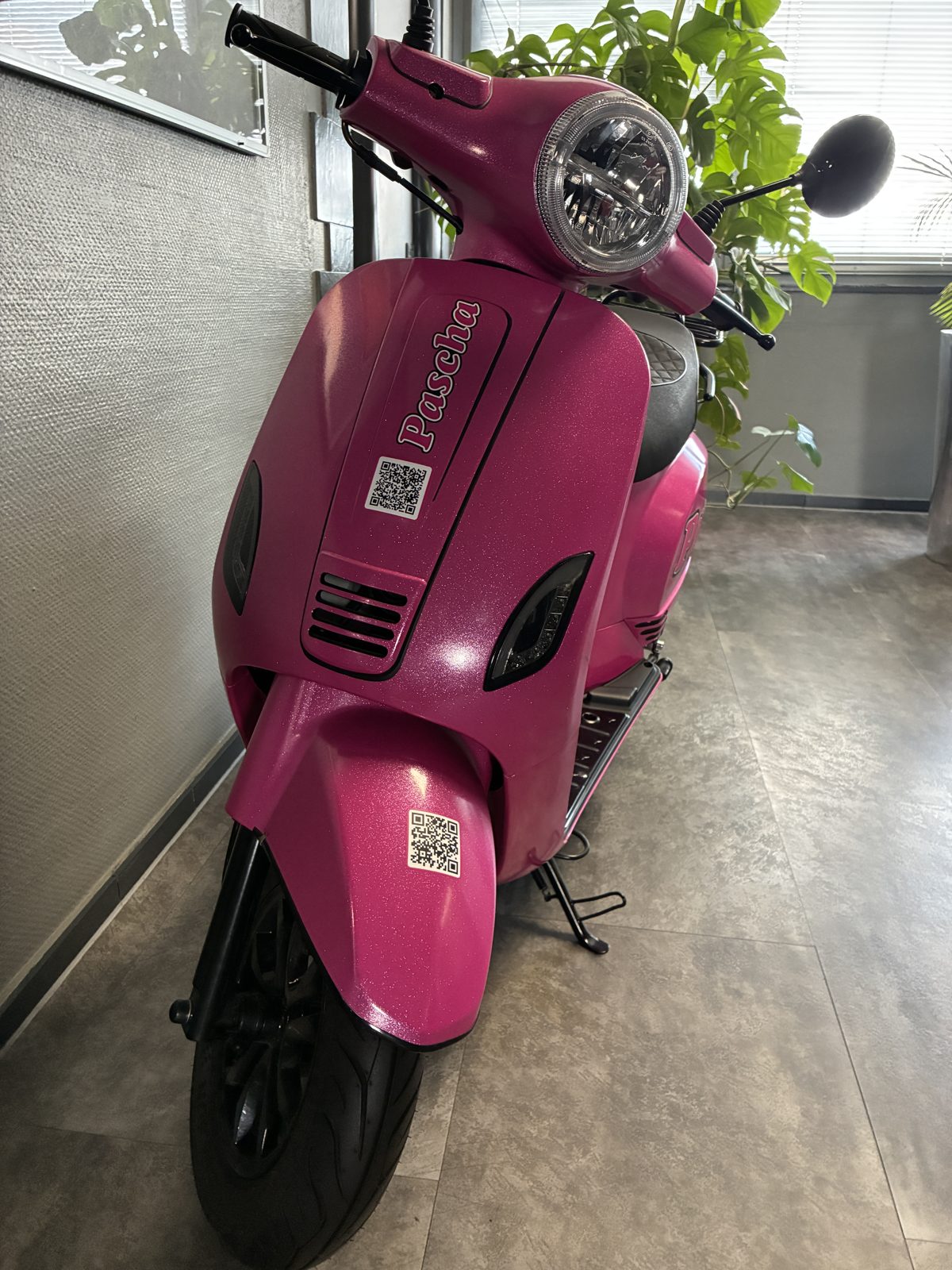 GTS Toscana im Pascha-Design — Frontansicht