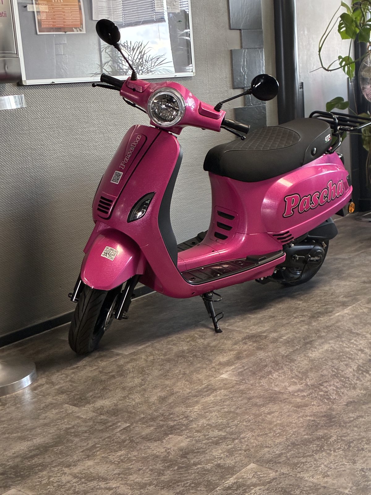 GTS Toscana im Pascha-Design — Front